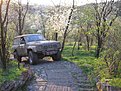 Натиснете снимката за да я уголемите

Име:Picture 385.jpg
Прегледи:125
Размер:219.4 КБ
ID:5167905