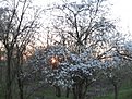 Натиснете снимката за да я уголемите

Име:Picture 402.jpg
Прегледи:125
Размер:243.8 КБ
ID:5167927