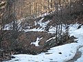 Натиснете снимката за да я уголемите

Име:IMG_0633.jpg
Прегледи:161
Размер:222.8 КБ
ID:5168184