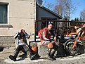 Натиснете снимката за да я уголемите

Име:IMG_0634.jpg
Прегледи:160
Размер:219.9 КБ
ID:5168185