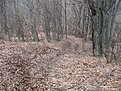 Натиснете снимката за да я уголемите

Име:IMG_0642.jpg
Прегледи:161
Размер:320.6 КБ
ID:5168213