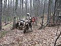 Натиснете снимката за да я уголемите

Име:IMG_0644.jpg
Прегледи:167
Размер:333.6 КБ
ID:5168215
