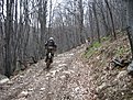 Натиснете снимката за да я уголемите

Име:IMG_0645.jpg
Прегледи:160
Размер:329.4 КБ
ID:5168216