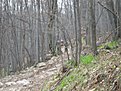 Натиснете снимката за да я уголемите

Име:IMG_0646.jpg
Прегледи:162
Размер:179.0 КБ
ID:5168217