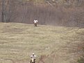 Натиснете снимката за да я уголемите

Име:IMG_0652.jpg
Прегледи:165
Размер:75.0 КБ
ID:5168223