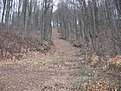 Натиснете снимката за да я уголемите

Име:IMG_0655.jpg
Прегледи:149
Размер:314.4 КБ
ID:5168226