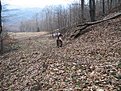 Натиснете снимката за да я уголемите

Име:IMG_0656.jpg
Прегледи:157
Размер:312.6 КБ
ID:5168227