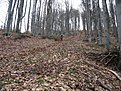 Натиснете снимката за да я уголемите

Име:IMG_0658.jpg
Прегледи:152
Размер:327.3 КБ
ID:5168232