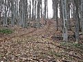 Натиснете снимката за да я уголемите

Име:IMG_0659.jpg
Прегледи:154
Размер:279.9 КБ
ID:5168233