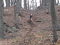 Натиснете снимката за да я уголемите

Име:IMG_0661.jpg
Прегледи:151
Размер:167.2 КБ
ID:5168235