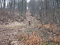 Натиснете снимката за да я уголемите

Име:IMG_0665.jpg
Прегледи:153
Размер:329.0 КБ
ID:5168239
