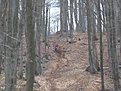 Натиснете снимката за да я уголемите

Име:IMG_0667.jpg
Прегледи:135
Размер:153.6 КБ
ID:5168241