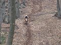 Натиснете снимката за да я уголемите

Име:IMG_0672.jpg
Прегледи:138
Размер:139.4 КБ
ID:5168246