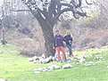 Натиснете снимката за да я уголемите

Име:PIC_0051.jpg
Прегледи:100
Размер:244.7 КБ
ID:5168283