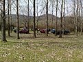 Натиснете снимката за да я уголемите

Име:05042010837.jpg
Прегледи:103
Размер:321.7 КБ
ID:5168295