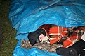 Натиснете снимката за да я уголемите

Име:IMG_2098.JPG
Прегледи:191
Размер:143.5 КБ
ID:5168336