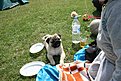 Натиснете снимката за да я уголемите

Име:IMG_2233.JPG
Прегледи:123
Размер:192.2 КБ
ID:5168372