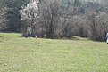 Натиснете снимката за да я уголемите

Име:IMG_2250.JPG
Прегледи:121
Размер:182.7 КБ
ID:5168376