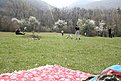 Натиснете снимката за да я уголемите

Име:IMG_2275.JPG
Прегледи:113
Размер:185.5 КБ
ID:5168381