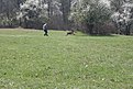 Натиснете снимката за да я уголемите

Име:IMG_2300.JPG
Прегледи:117
Размер:197.5 КБ
ID:5168387