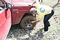 Натиснете снимката за да я уголемите

Име:IMG_2363.JPG
Прегледи:129
Размер:177.4 КБ
ID:5168403