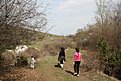 Натиснете снимката за да я уголемите

Име:IMG_2391.JPG
Прегледи:129
Размер:186.0 КБ
ID:5168409