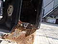 Натиснете снимката за да я уголемите

Име:HPIM0906.jpg
Прегледи:168
Размер:152.2 КБ
ID:5168830