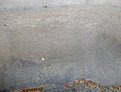 Натиснете снимката за да я уголемите

Име:HPIM0918.jpg
Прегледи:146
Размер:123.8 КБ
ID:5168840