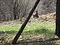 Натиснете снимката за да я уголемите

Име:IMG_0214.jpg
Прегледи:130
Размер:286.3 КБ
ID:5170218