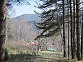 Натиснете снимката за да я уголемите

Име:IMG_0218.jpg
Прегледи:131
Размер:246.6 КБ
ID:5170220