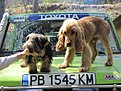 Натиснете снимката за да я уголемите

Име:IMG_0226.jpg
Прегледи:134
Размер:161.7 КБ
ID:5170240