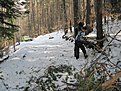 Натиснете снимката за да я уголемите

Име:IMG_0256.jpg
Прегледи:131
Размер:226.2 КБ
ID:5170262