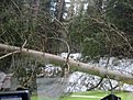 Натиснете снимката за да я уголемите

Име:IMG_0294.jpg
Прегледи:126
Размер:171.2 КБ
ID:5170321