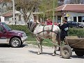 Натиснете снимката за да я уголемите

Име:DSC02660.jpg
Прегледи:193
Размер:162.3 КБ
ID:5170389