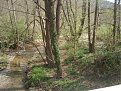 Натиснете снимката за да я уголемите

Име:DSC08604.jpg
Прегледи:179
Размер:276.8 КБ
ID:5170457