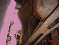 Натиснете снимката за да я уголемите

Име:DSC07603.JPG
Прегледи:201
Размер:137.3 КБ
ID:5170623