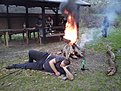 Натиснете снимката за да я уголемите

Име:DSC00811.jpg
Прегледи:213
Размер:207.9 КБ
ID:5170756