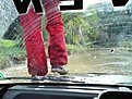 Натиснете снимката за да я уголемите

Име:DSC00821.jpg
Прегледи:197
Размер:194.7 КБ
ID:5170759