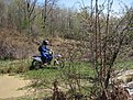 Натиснете снимката за да я уголемите

Име:IMG_0991.jpg
Прегледи:145
Размер:301.1 КБ
ID:5171948