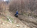 Натиснете снимката за да я уголемите

Име:IMG_1016.jpg
Прегледи:131
Размер:305.5 КБ
ID:5171973