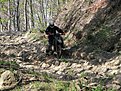 Натиснете снимката за да я уголемите

Име:IMG_1024.jpg
Прегледи:148
Размер:303.0 КБ
ID:5171981