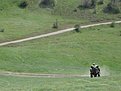 Натиснете снимката за да я уголемите

Име:DSC07003.jpg
Прегледи:131
Размер:134.4 КБ
ID:5174606