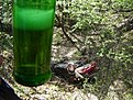 Натиснете снимката за да я уголемите

Име:DSC07071.jpg
Прегледи:228
Размер:281.2 КБ
ID:5174665