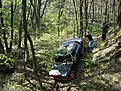 Натиснете снимката за да я уголемите

Име:DSC07083.jpg
Прегледи:227
Размер:336.7 КБ
ID:5174672