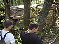 Натиснете снимката за да я уголемите

Име:DSC07084.jpg
Прегледи:220
Размер:211.9 КБ
ID:5174673