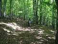 Натиснете снимката за да я уголемите

Име:IMG_1165.jpg
Прегледи:160
Размер:300.0 КБ
ID:5174882
