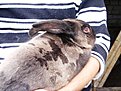Натиснете снимката за да я уголемите

Име:DSCF6838-1.JPG
Прегледи:342
Размер:239.5 КБ
ID:5175292