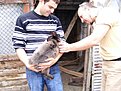 Натиснете снимката за да я уголемите

Име:DSCF6839-1.JPG
Прегледи:354
Размер:246.5 КБ
ID:5175293