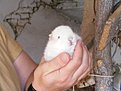 Натиснете снимката за да я уголемите

Име:DSCF6832-1.JPG
Прегледи:252
Размер:226.6 КБ
ID:5175389