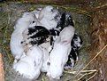 Натиснете снимката за да я уголемите

Име:DSCF6836-1.JPG
Прегледи:256
Размер:240.2 КБ
ID:5175390